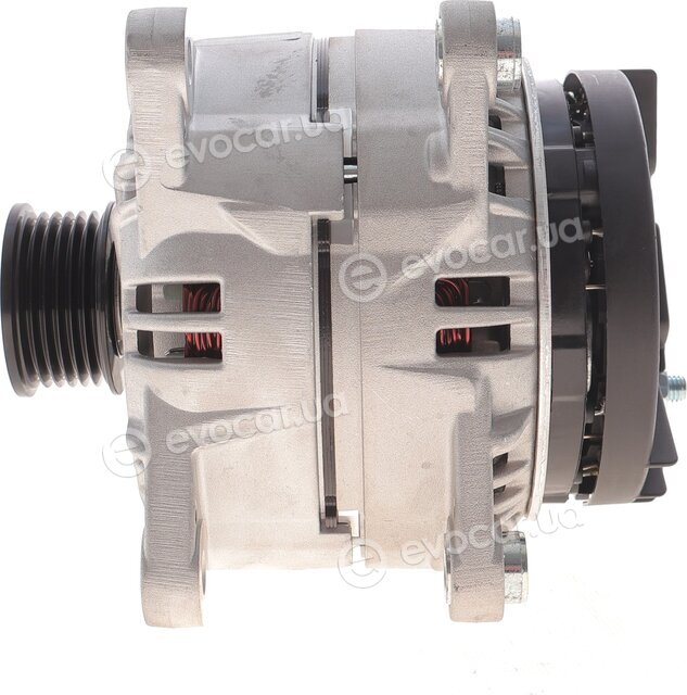 Solgy 408033