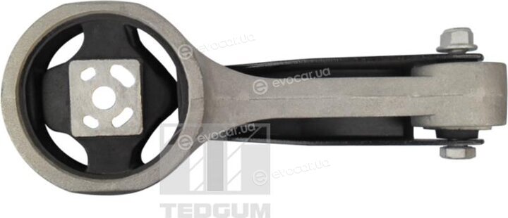 Tedgum 00726711