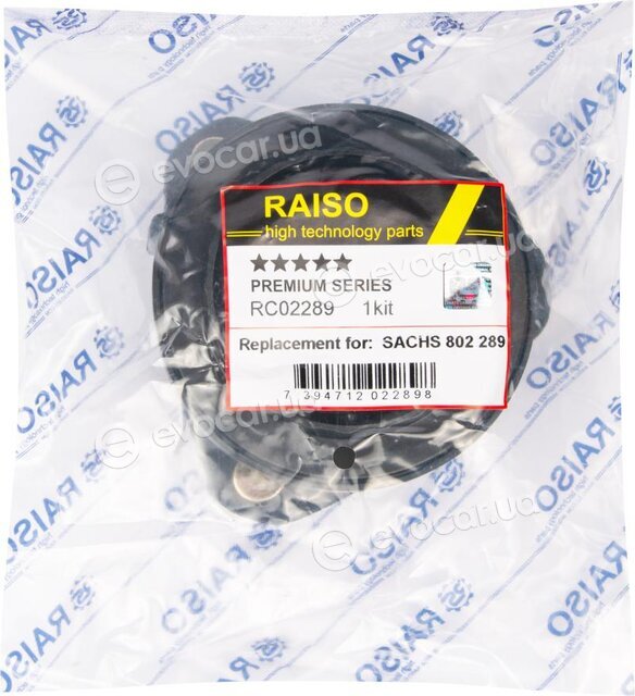 Raiso RC02289