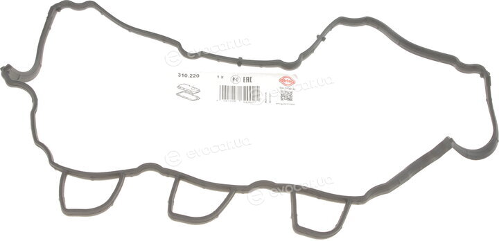 Elring 310.220