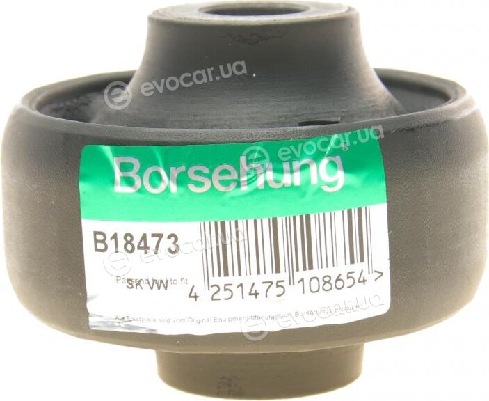 Borsehung B18473