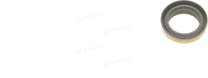 Victor Reinz 81-24010-00