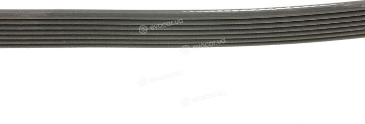 Continental 7PK2842