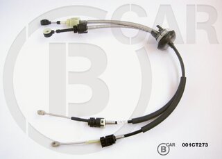 BCAR 001CT273