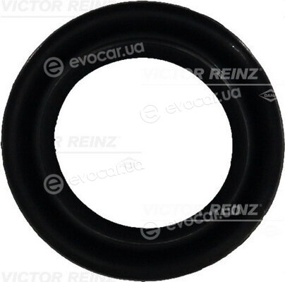 Victor Reinz 702587600