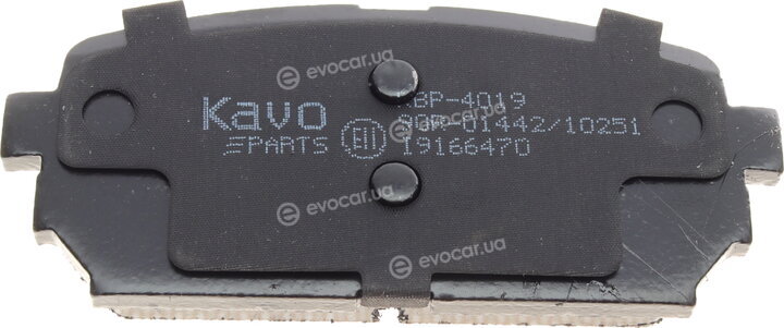 Kavo KBP-4019
