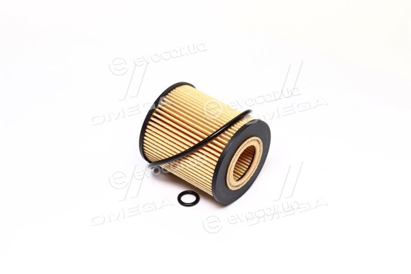 Ashika 10-ECO036