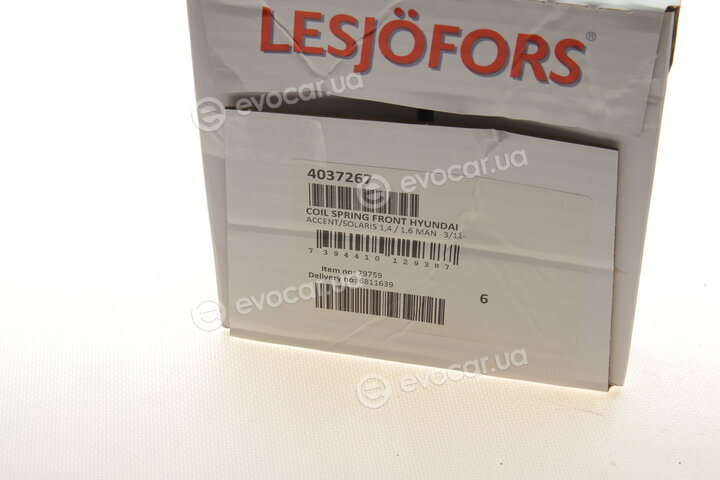 Lesjofors 4037267