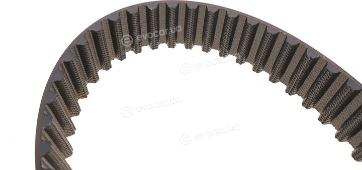 Dayco 94810