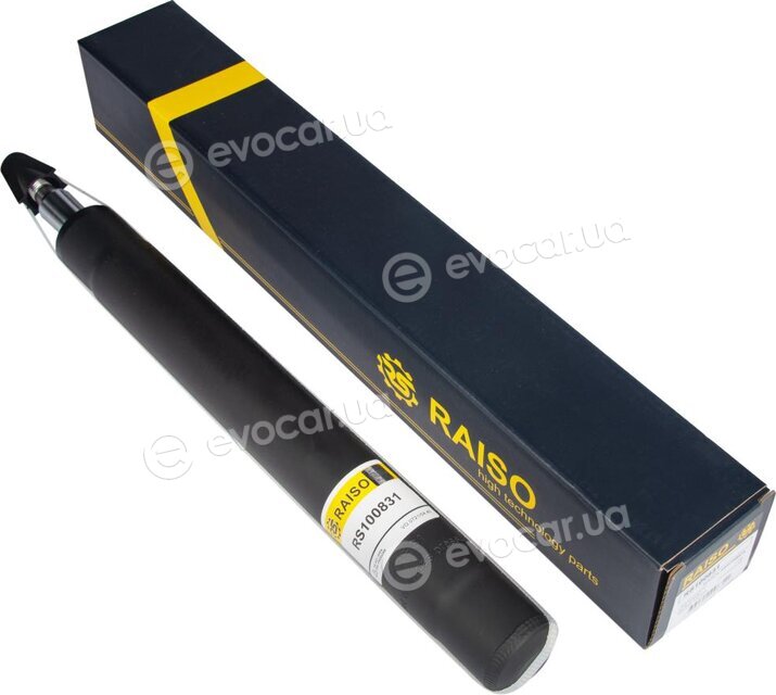 Raiso RS100831