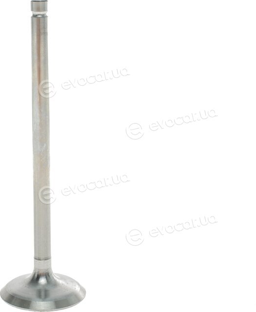 AMP PDAE005-S-0-D