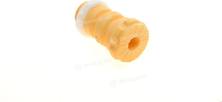 Borsehung B10026