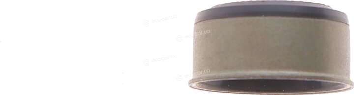 Febi 172796