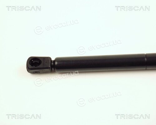 Triscan 8710 16104