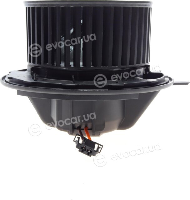 AIC 55362