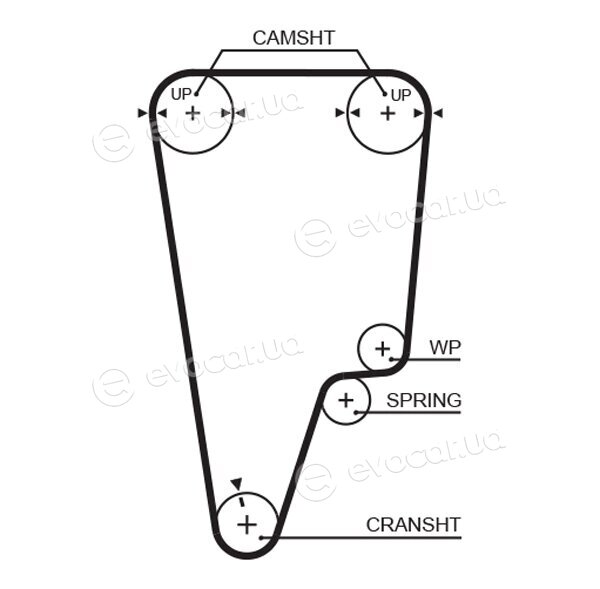 Gates K015505XS