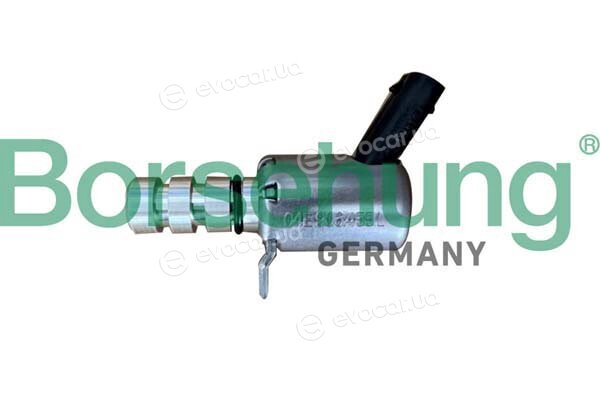 Borsehung B12313