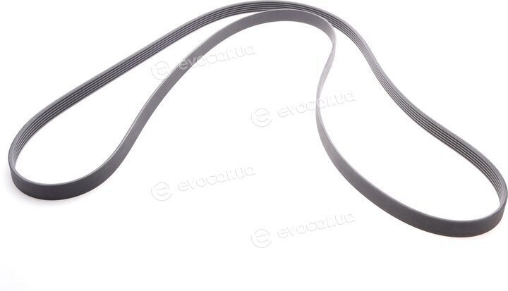 Continental 6PK2528