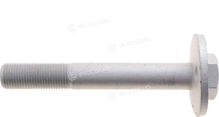 Solgy 204239