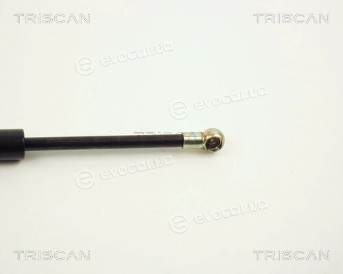 Triscan 8710 1009