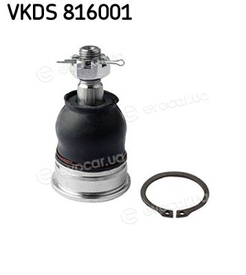 SKF VKDS 816001