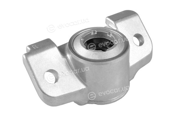 Tedgum TED50032