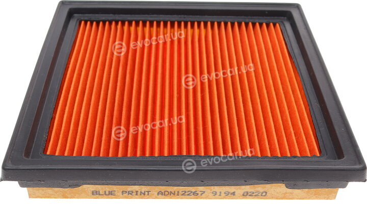 Blue Print ADN12267