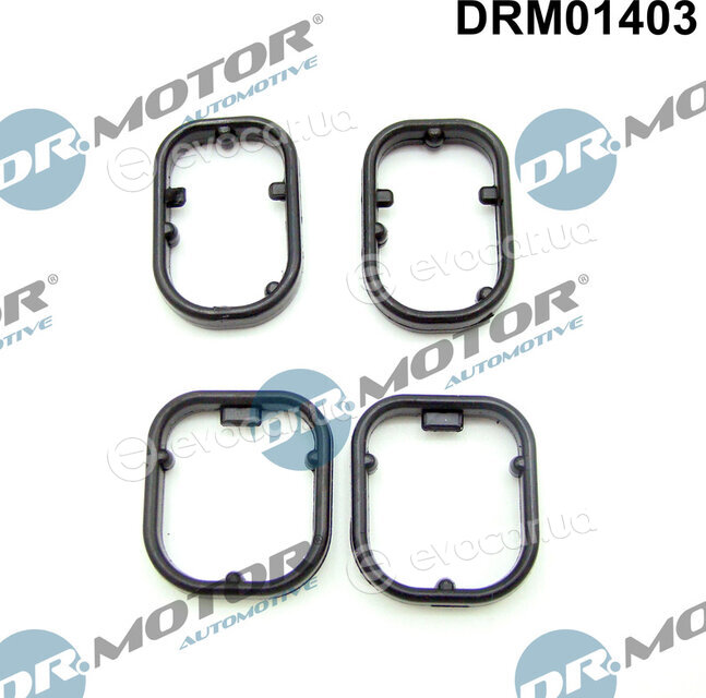 Dr. Motor DRM01403