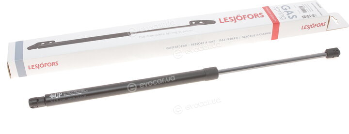 Lesjofors 8108443