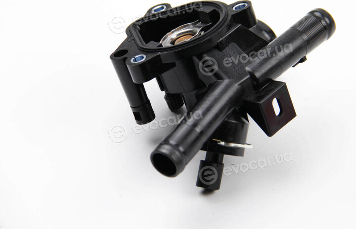 Motorad 802-81K