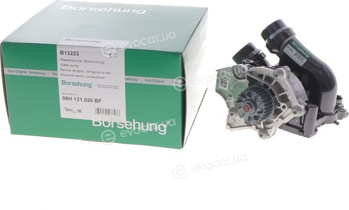 Borsehung B13223