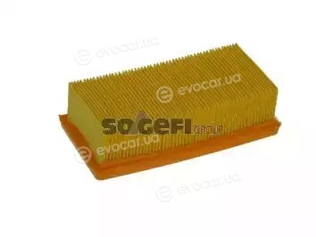 Coopers Fiaam PA7056