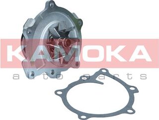 Kamoka T0294