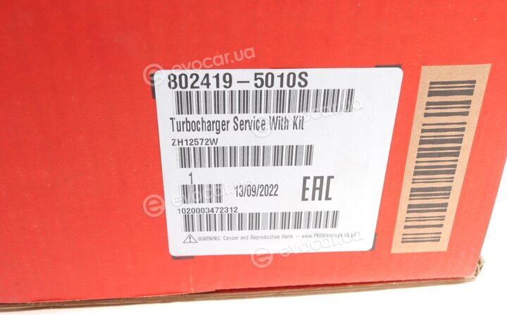 Garrett 802419-5010S