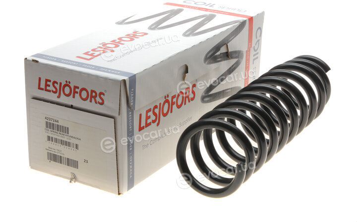 Lesjofors 4237244
