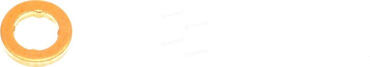 Victor Reinz 02-10022-01