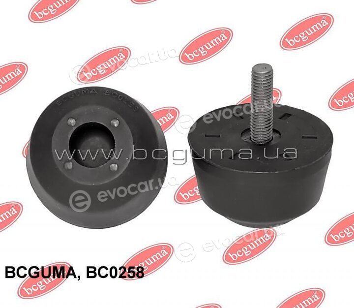 BC Guma 0258