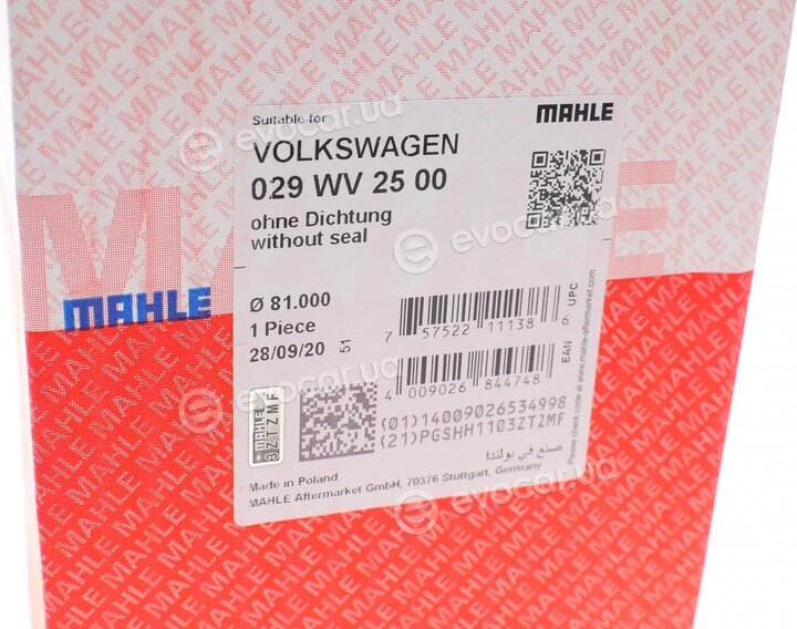 Mahle 029 WV 25 00