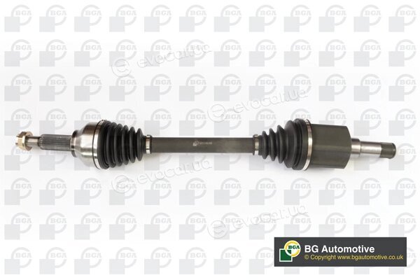 BGA DS2318L