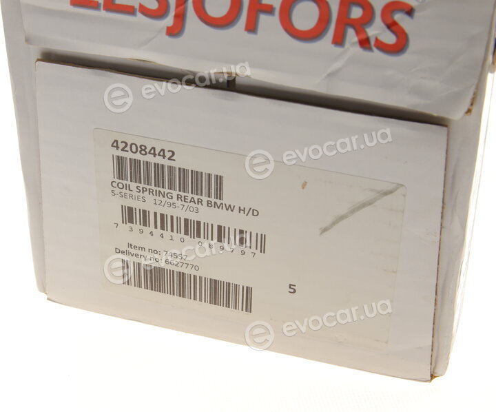 Lesjofors 4208442