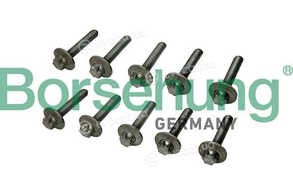 Borsehung B13391