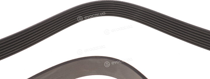 Dayco 7PK1325