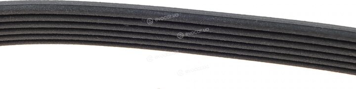 Dayco 6PK2605