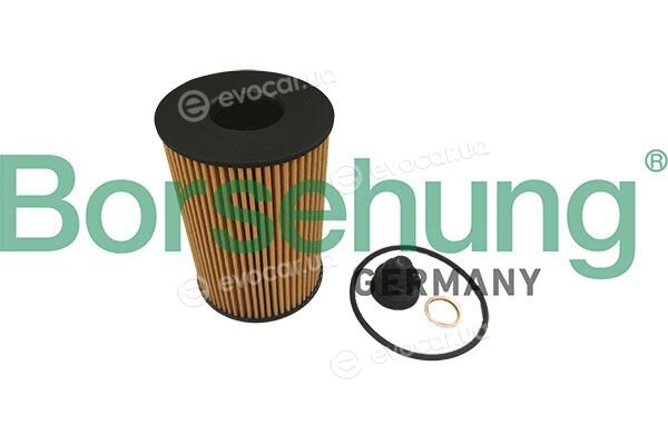 Borsehung B10461