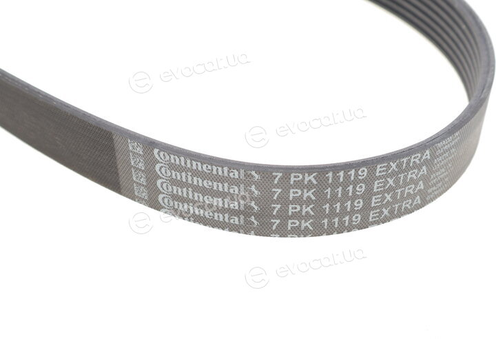 Continental 7PK1119 EXTRA