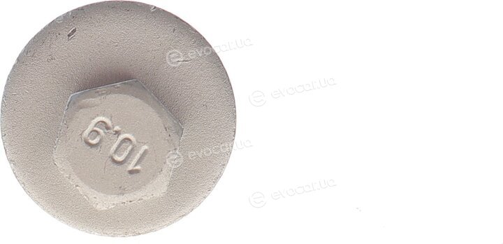 Solgy 204221