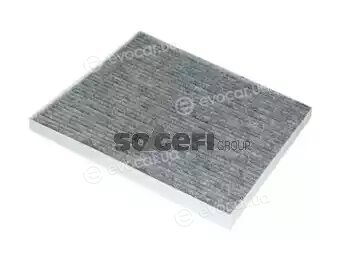 Coopers Fiaam PCK8194