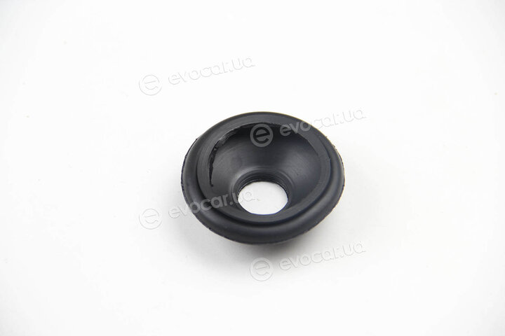 BC Guma 0829