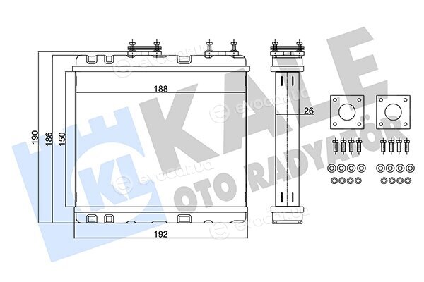 Kale 370580