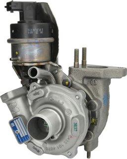 BorgWarner 54309880000